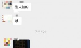 平湖最新爆料消息视频播放,视频揭秘惊人内幕，真相即将揭晓！